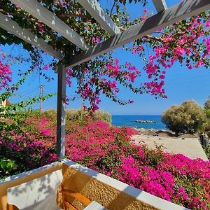 Nostos Beach (Adults Only)
